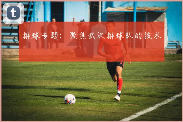 排球专题：聚焦武汉排球队的技术