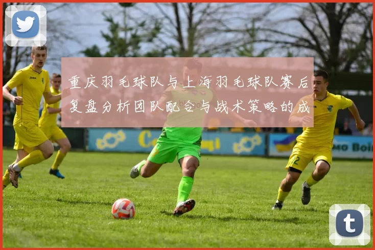 重庆羽毛球队与上海羽毛球队赛后复盘分析团队配合与战术策略的成功与不足