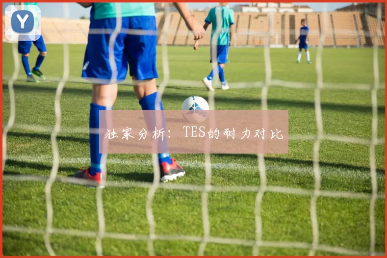 独家分析：TES的耐力对比