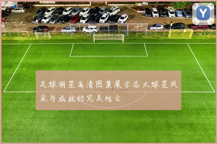 足球明星高清图集展示各大球星风采与成就的完美结合