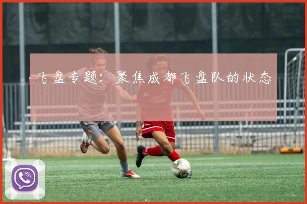 飞盘专题：聚焦成都飞盘队的状态