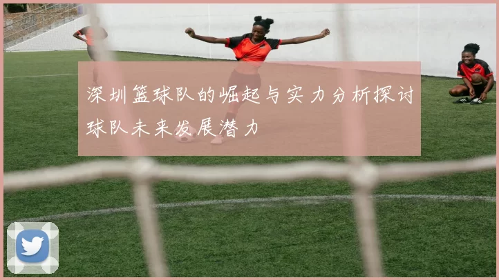 深圳篮球队的崛起与实力分析探讨球队未来发展潜力