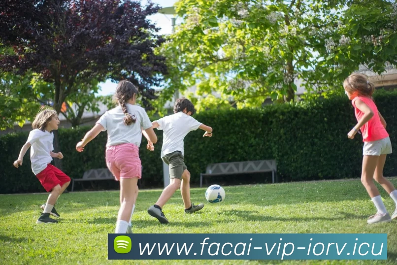 多媒体互动体验